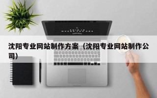 晋江沈阳专业网站制作方案（沈阳专业网站制作公司）